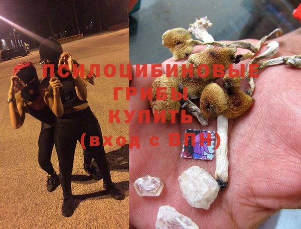 эйфоретик Медвежьегорск