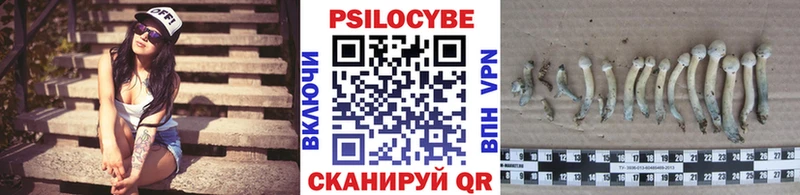 Псилоцибиновые грибы прущие грибы  Купить закладки  Апрелевка 
